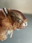 Vintage Steiff Germany Stuffed Animal Mohair “Murmi” Marmot, C1960 — photo 6