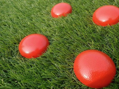 10 Pack Orange Survey akesProperty Survey Marker PermanentGarden akesSurvey M...