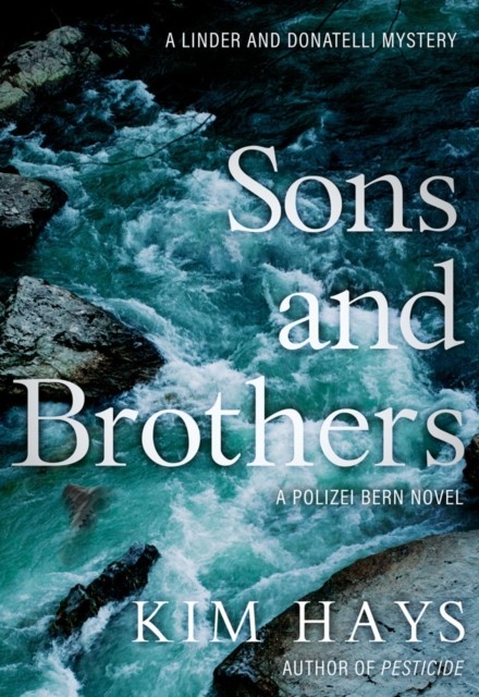 Sons & Brothers: A Polizei Bern Novel by Kim Hays PAPERBACK 9781645060581