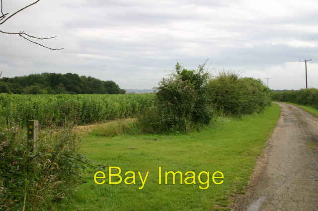 Bild 1 von 1