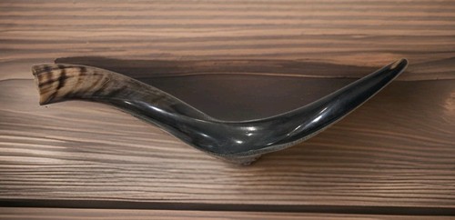 Shofar Yemenite Kudu Horn 21" (53cm) KOSHER Polished Free Shipping USA