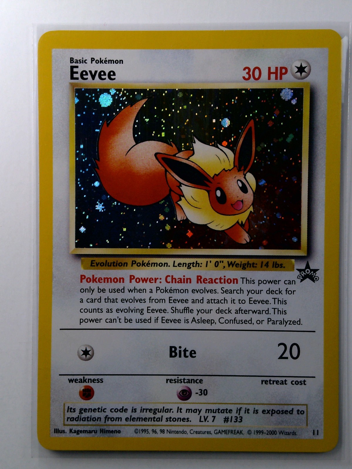 Pokemon Eevee Wizards Black Star Promo 11 Holo NM 11/53