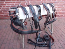 2-sp&auml;nner Brustblattgeschirr Gr XS kleines Pony ,schwarz/braun