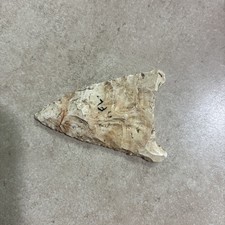 FL. Arrowhead