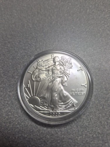 2020 American Silver Eagle 1 oz .999 Fine Silver $1 Coin BU in Capsule