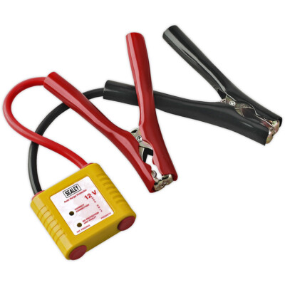 12V Auto Elektrik Überspannungsschutzgerät - Batterieclips - Erdspießanzeige