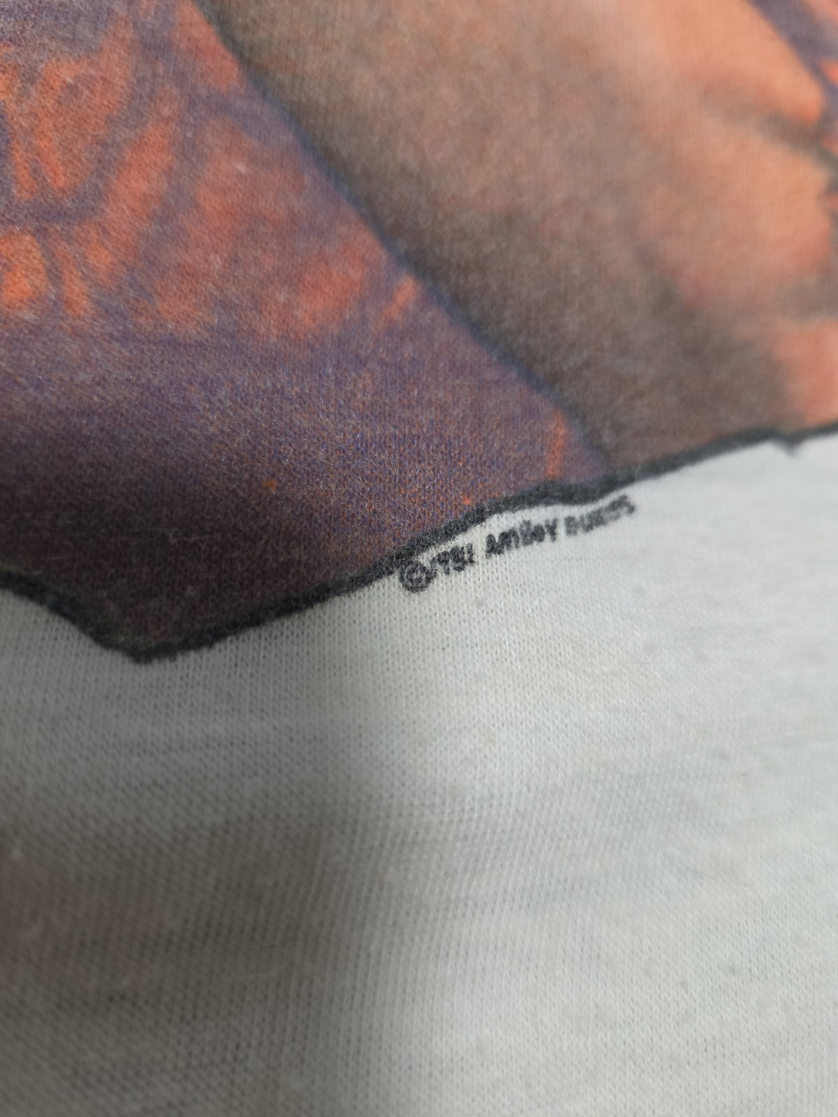 Vintage 1981 Ted Nugent Intensities In 10 Cities Tour Raglan Shirt Medium 80s image 6