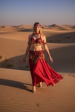 Beautiful Egyptian Style Belly Dance Costume Red/Gold Complete 8-Piece Set NEW