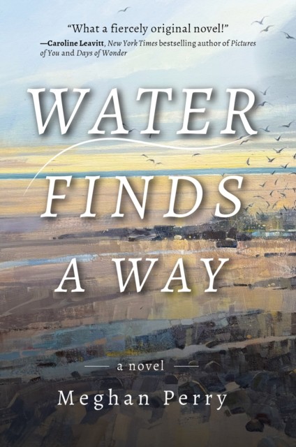 Water Finds a Way a novel by Meghan Perry (Hardback Book)