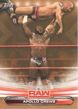 2019 Topps WWE RAW Bronze Parallel Wrestling Cards Pick from List