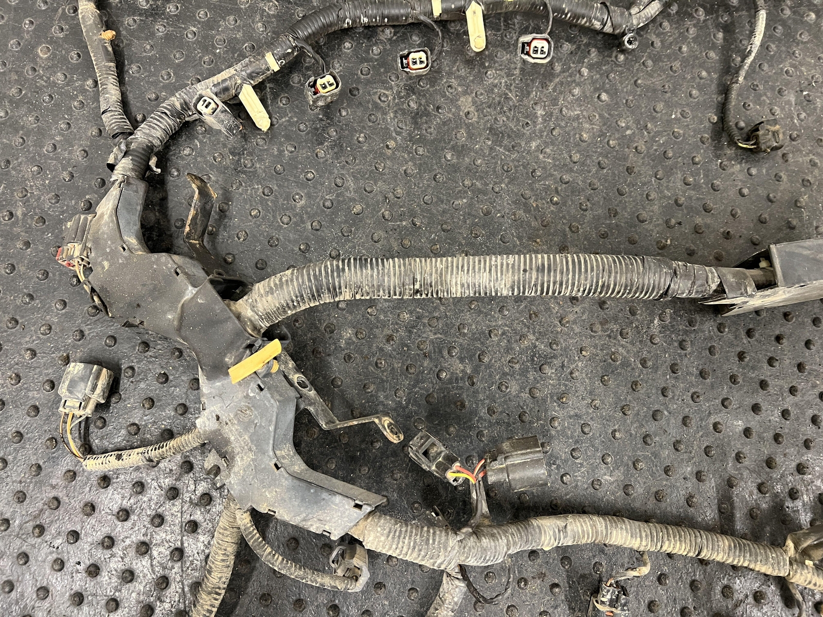 2005 LAND ROVER LR3 ENGINE MOTOR ELECTRIAL WIRE WIRING HARNESS 4.4 AT 01/05 4X4