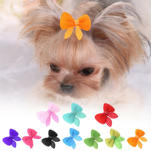10PCS Lot Small Pet Dog Hair Bows Clips Accessories AU Grooming AU - Afbeelding 1 van 12