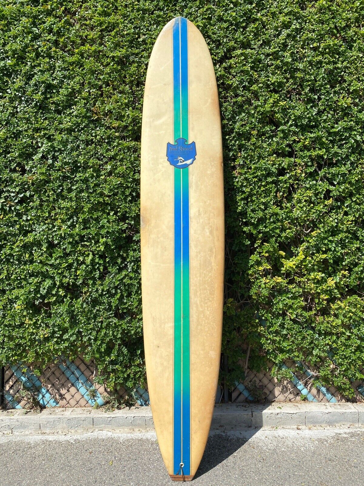 Surfboard longboard 10ft