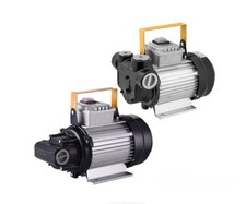 Household Self-Priming Electric Gear Pump High-Flow Hydraulic Oil Pump Copper