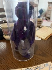 Ty Beanie Babies Princess Bear First Edition, Super Rare Authenticated