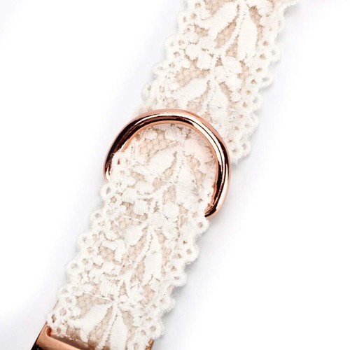 Hundehalsband und Leine Set aus Spitze roségold weiß Boho Hochzeit Shabby edel - Bild 10 von 11