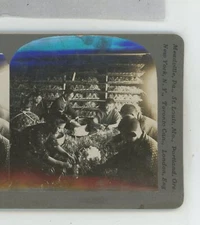 Separating Cocoons from Nests Japan Keystone Stereoview