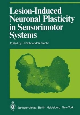 Lesion-Induced Neuronal Plasticity in Sensorimotor Systems by H. Flohr (English)