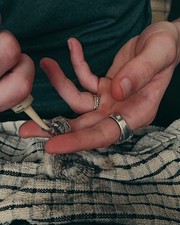  2x 12ml Syringe for Baby Parrot Bird Feeding Hand Syringe Bird Rearing Tube