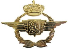 Force Aérienne BELGE - Insigne de Béret Officier - métal doré
