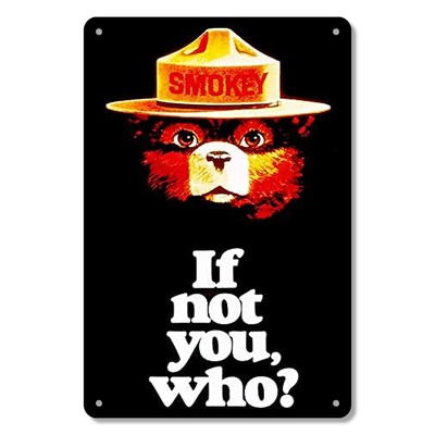 2D Flat, 1pc Retro ''Smokey the Bear'' Humorous Tin Metal Signs Wall Art - Vintage
