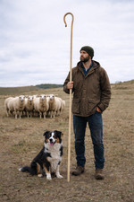 93-96" Amish Handcrafted Red Oak Steam Bent Shepherd Crook or Hook.