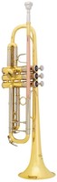 Bach 'aristocrat' Student Model Tr500 Bb Trumpet Brand Quinntheeskimo Bach 'aristocrat' Student Model Tr500 Bb Trumpet Brand Quinntheeskimo