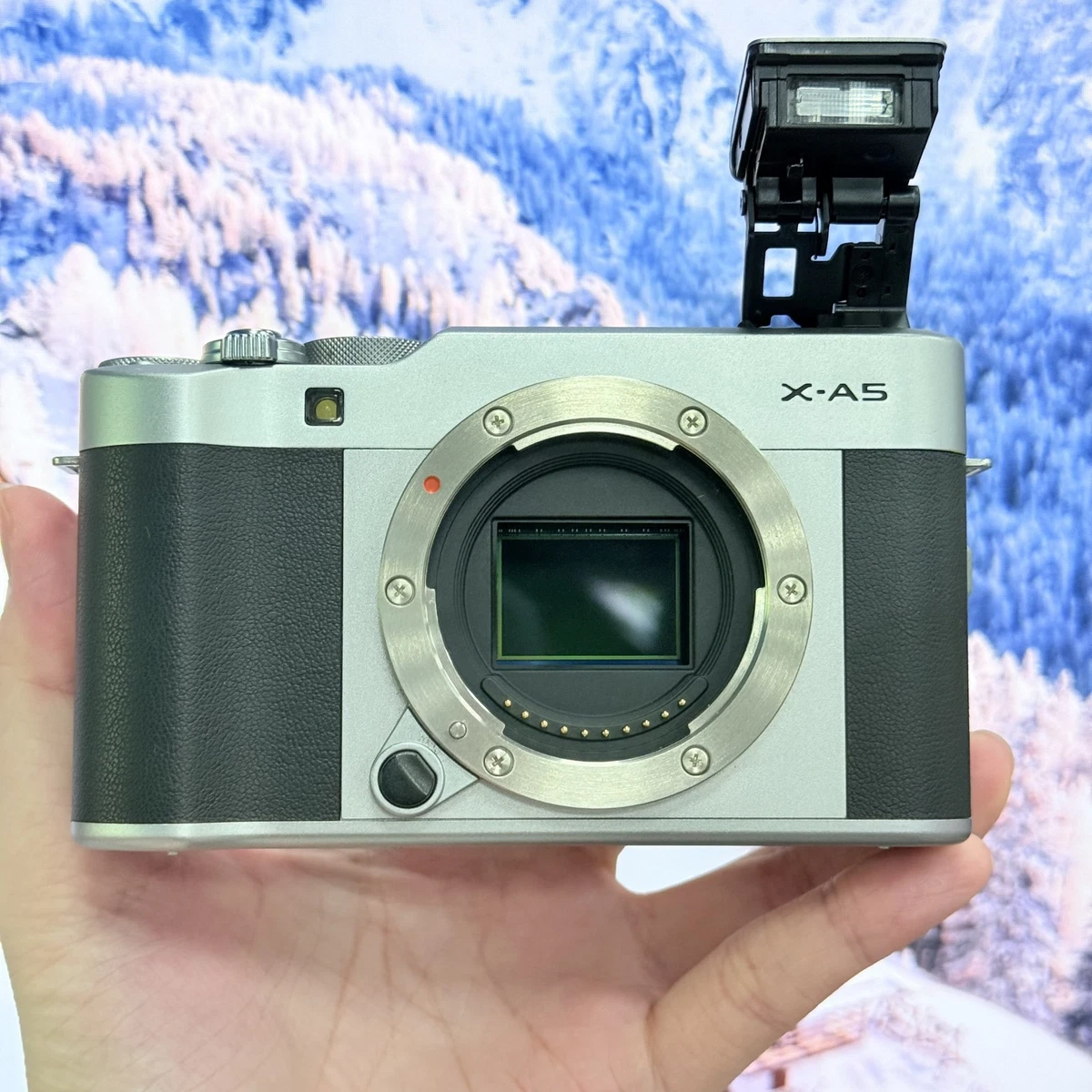 Fujifilm X-A5 Digital Cameras for Sale | Shop New & Used Digital