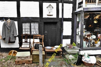 Foto A3 Lichfield: Quercus der Quonianer Display um 2021