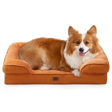 Orthopedic Memory Foam Dog Bed Large Waterproof, NonSlip, Washable Cover