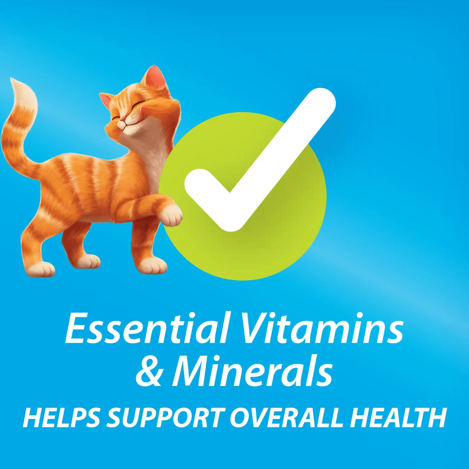 Purina Kit & Kaboodle Origina Dry Cat Food, 22 lb Bag, 2 Packs Free Shipping