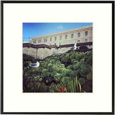 12x12 Aluminum Picture Frame with Ivory Color Mat for 8x8 Photo & Real Glass