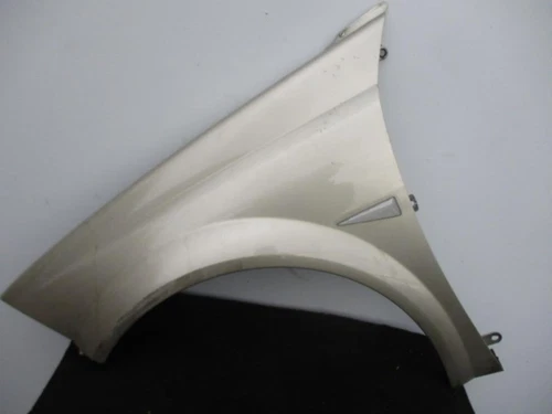 Aleta Delantera Izquierda para RENAULT MEGANE II COUPE/CABRIO 2005 807304 - Imagen 1 de 6