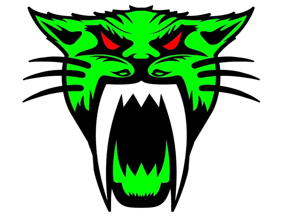 Arctic Cat sticker snowmobiles weatherproof bumper vinyl decal