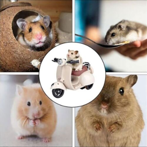 Material Safety Swing Electric Motorcycle Model Mini Hamster Pet Toy - Picture 1 of 10