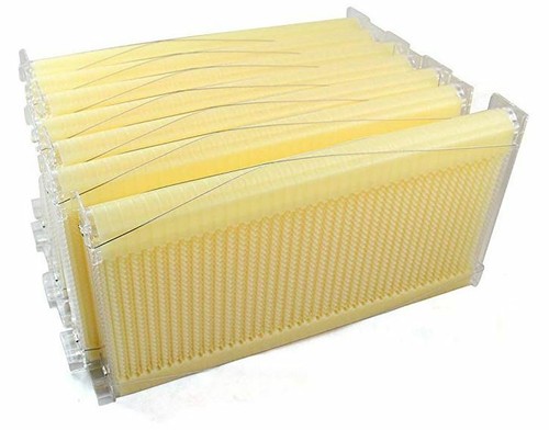 byander Automatisch Bienenbeute / Bienenstock / Beehive / Flow Beehive - Bild 7 von 7