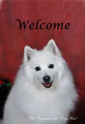 American Eskimo Close Encounters of the Furry Kind Welcome Flag