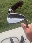 Titliest SM11 56/14F Grind With Dynamic Gold S300 — photo 1