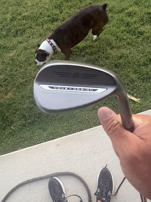 Titliest SM11 56/14F Grind With Dynamic Gold S300