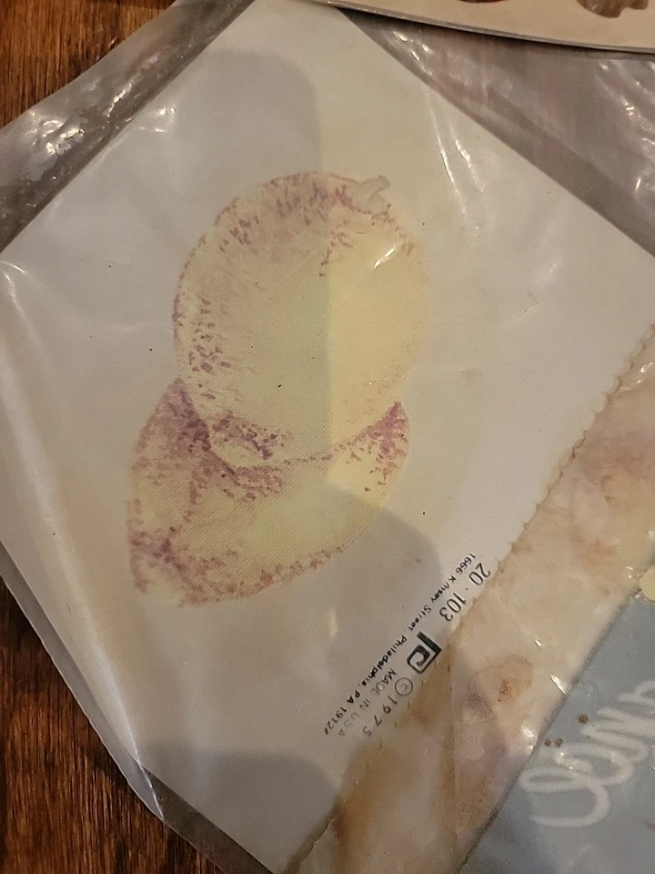 Pequeño Lote de Calcomanías de Cocina Frutas Vegetales Transferencia Años 70 Tamaños Surtidos  Foto 4 de 4