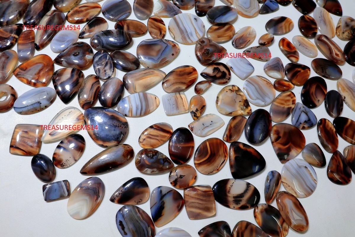 250 Crt WHOLESALE LOT TOP QUALITY NATURAL MONTANA AGATE CABOCHON