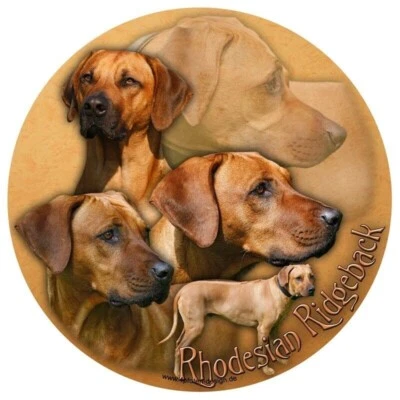 RHODESIAN RIDGEBACK Autoaufkleber, AUFKLEBER RUND, Fensteraufkleber, sticker #1 - Bild 1 von 2