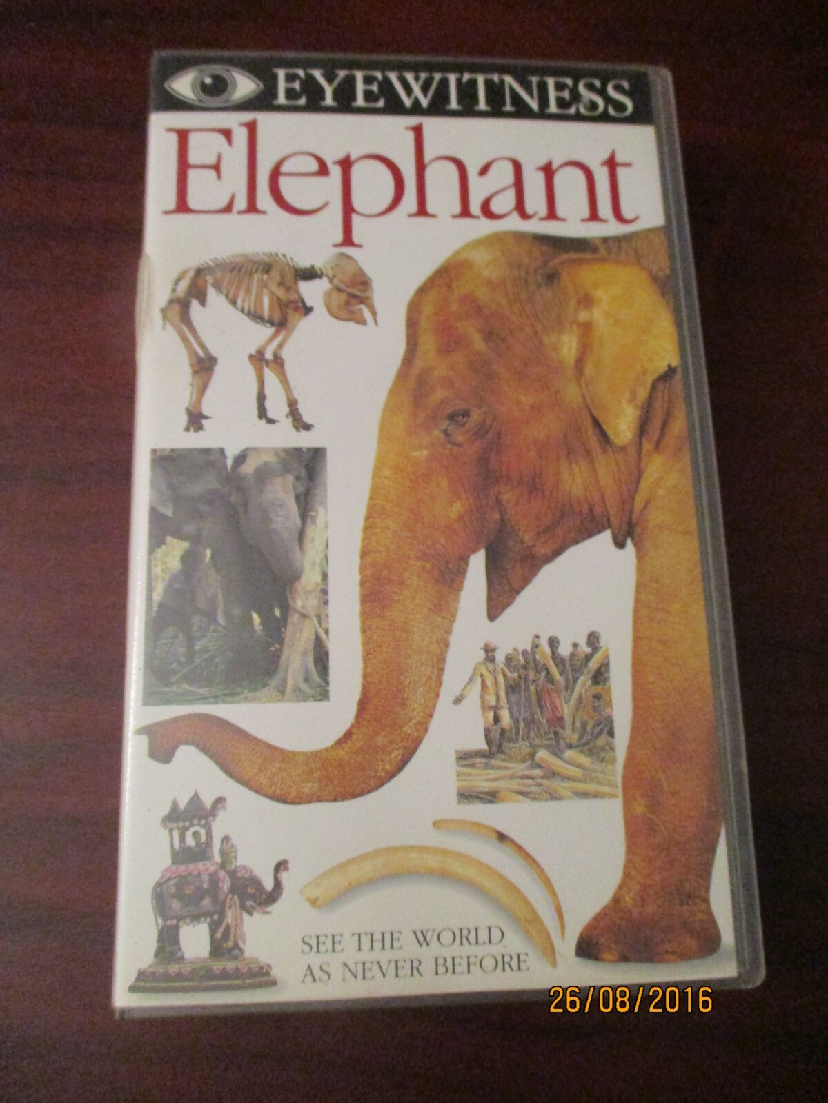 Eyewitness Elephant VHS Video Tape eBay