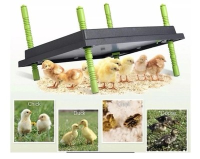  12''X16'' Chick Brooder Heater Plate, Brooder Plate for Chicks w/ Adjustable Hei