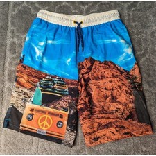 Wonder Nation Swim Trunks BOYS SIZE L 10-12 elastic lining beach board shorts