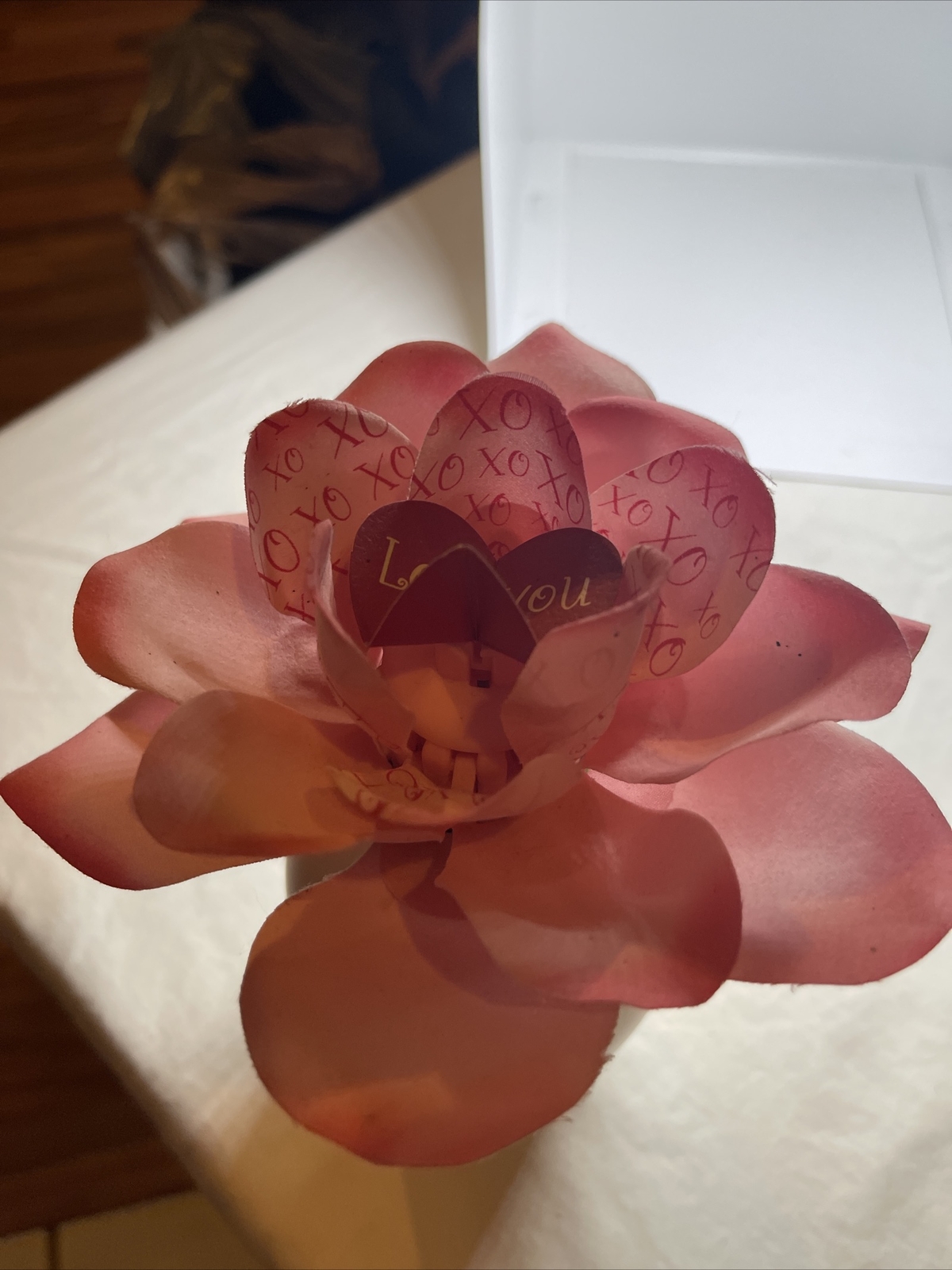 Picture 3 of 4