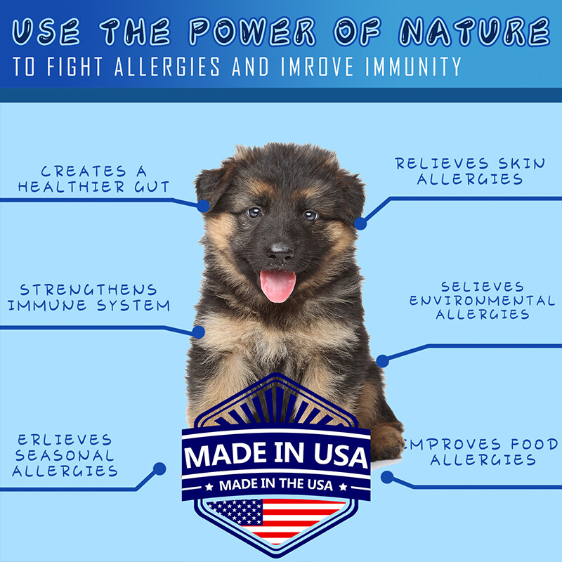 Helpful Hemp Protein Soft Chews for Dog Muscle Building Bacon Flavor