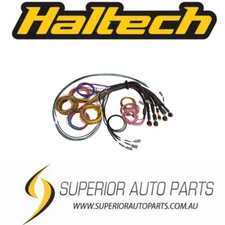 Haltech Nexus R5 Universal Wire-In harness - 2.5M (8') HT-185200