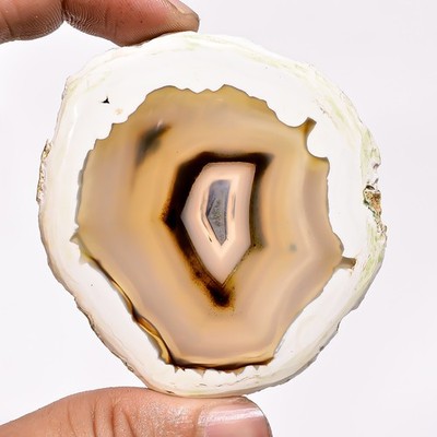 100% Natural Montana Agate Slice Fancy Loose Gemstone 174.50Cts 59X64X06mm BC-66