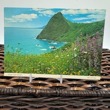 Vintage Oregon Coast Seascape Postcard Wildflowers Pacific Ocean View Ed  Cooper